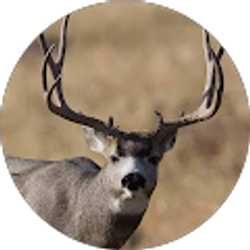 Profile photo of Barbara Holter