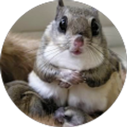 Profile photo of Colleen