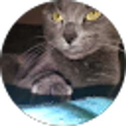 Profile photo of darrian kelly