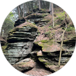 Profile photo of Rene Mercure