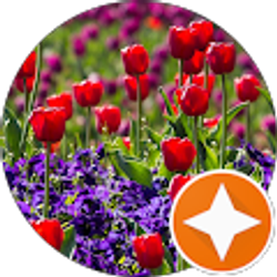 Profile photo of Nicole Johnson