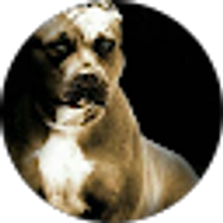 Profile photo of LT