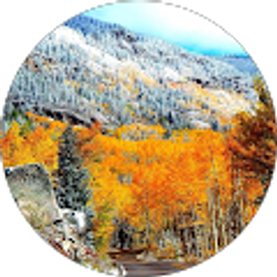 Profile photo of Jose Macias