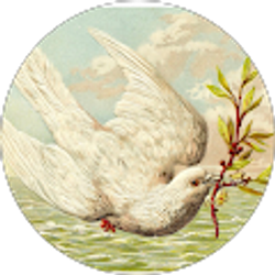 Profile photo of Vanessa Brooks