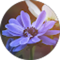 Profile photo of Brittani Drake