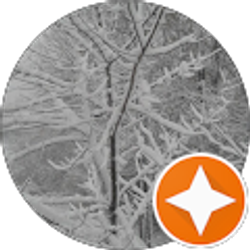 Profile photo of Miriam Alanis