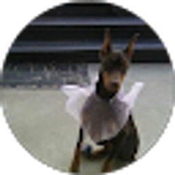 Profile photo of Lisa Smith