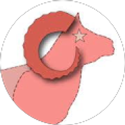 Profile photo of alexandr beran