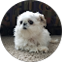 Profile photo of Daewoon Choi