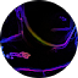 Profile photo of Quinn