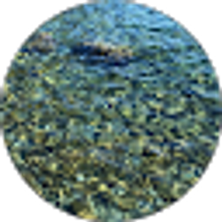 Profile photo of Ryan Dickerson