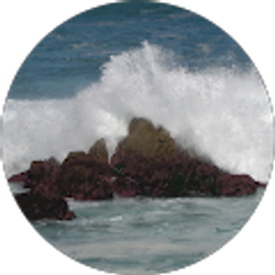 Profile photo of Dwyane Robinson