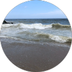 Profile photo of Nikki