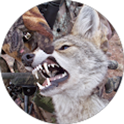 Profile photo of Rick Mathews