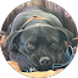 Profile photo of High Plains Drifter