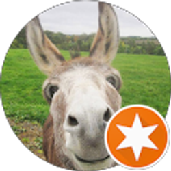 Profile photo of Phil Dalton