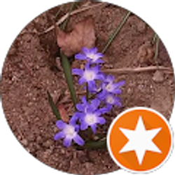 Profile photo of Jannine oates