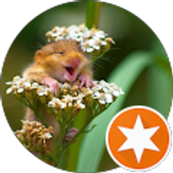 Profile photo of Jaclyn Clark