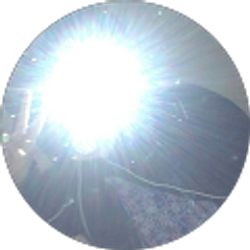 Profile photo of Maddies_world 123