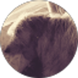 Profile photo of Alexandra Sanderson