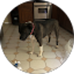 Profile photo of Tammy Taylor