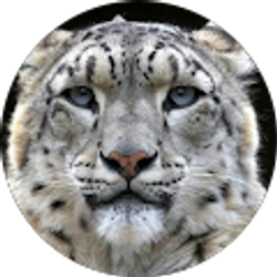 Profile photo of edgar robles