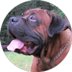 Profile photo of Beverly Shupe