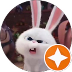 Profile photo of Shomily Han