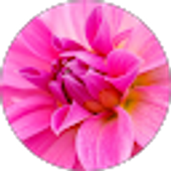 Profile photo of Lumie Emini
