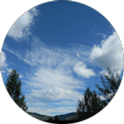 Profile photo of Kim Nuzzo