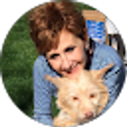 Profile photo of Penny McGinn
