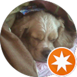 Profile photo of William Medina