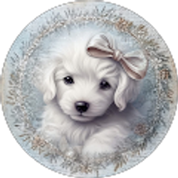 Profile photo of Simply Sissy