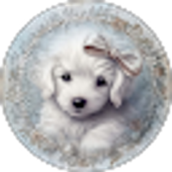 Profile photo of Simply Sissy