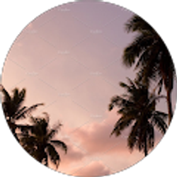 Profile photo of Patricia Licea