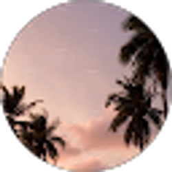 Profile photo of Patricia Licea