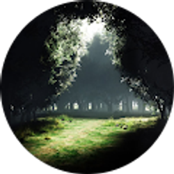 Profile photo of Andrew