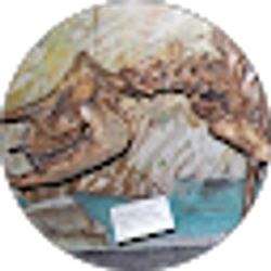 Profile photo of Aphentos
