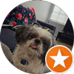 Profile photo of N. Paramo