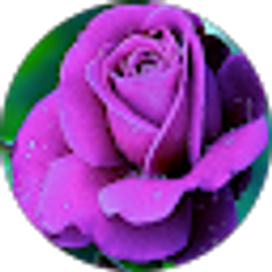 Profile photo of Aretha Myers