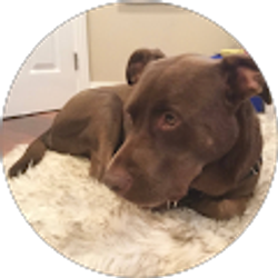 Profile photo of Angela Alvarado