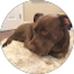 Profile photo of Angela Alvarado