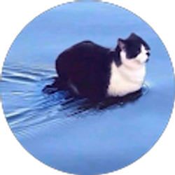 Profile photo of Peyton Mccoy