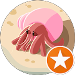 Profile photo of Liz