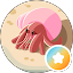 Profile photo of Liz