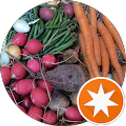 Profile photo of Shayne Square