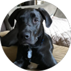 Profile photo of Brett Clemons