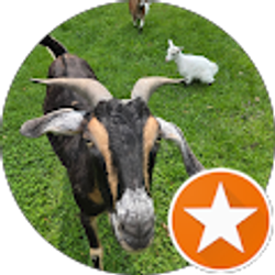 Profile photo of Matt Thodoroff