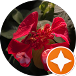 Profile photo of Linda Johnson