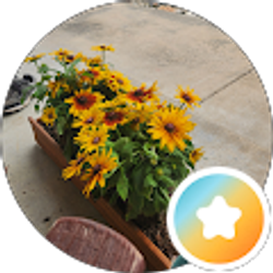 Profile photo of Lori Starnes
